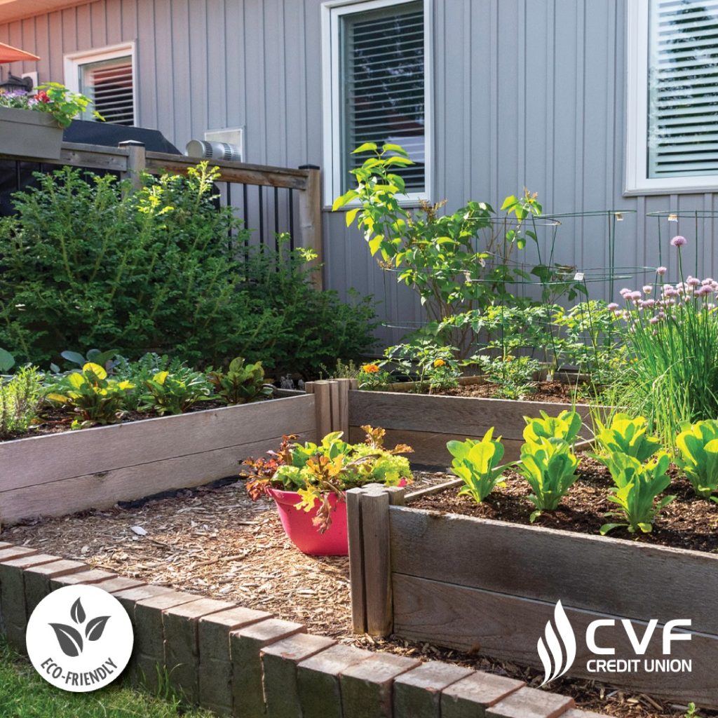 Grow Green on a Budget: Gardening for Less