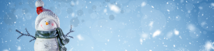CVF CU Snowman Personal Loan